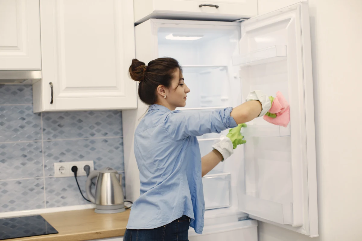 housewife-woking-home-lady-blue-shirt