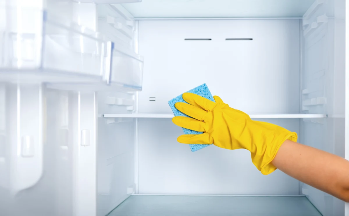 woman-s-hand-yellow-rubber-protective-glove-blue-sponge-washes-cleans-refrigerator-shelves
